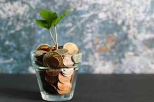 Sprout Planted In Coins